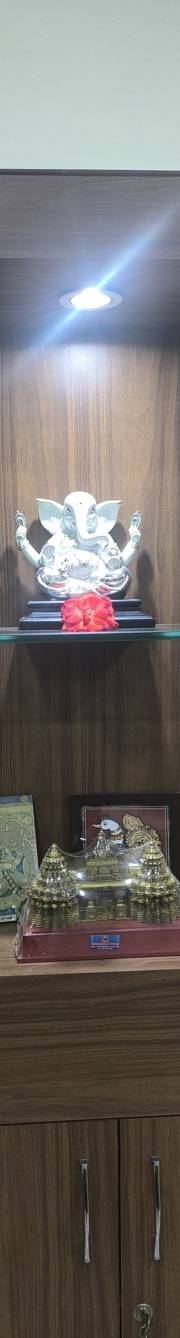 Gallery K S Orthopaedic Foundation